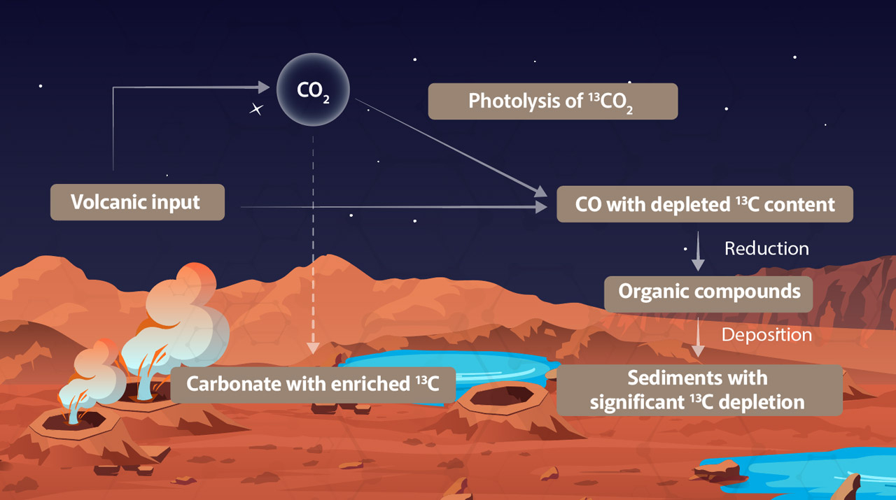 Tracing the Origins of Organic Matter in Martian Sediments