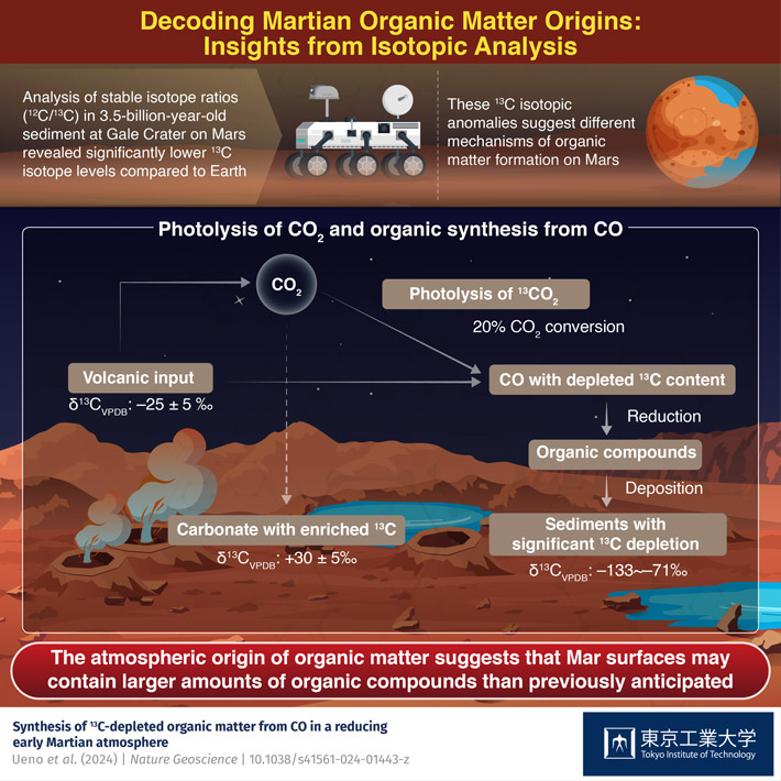 Decoding Martian Organic Matter Origins:  Insights from Isotopic Analysis